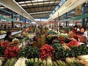 廣東韶關粵北農副產品批發市場全面攻略 地址、路線、營業時間與拿貨技巧