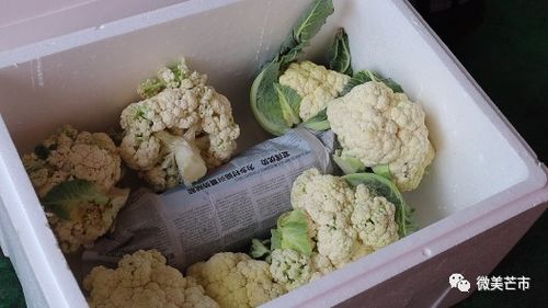 情深山海 芒市270余噸農副產品馳援青浦